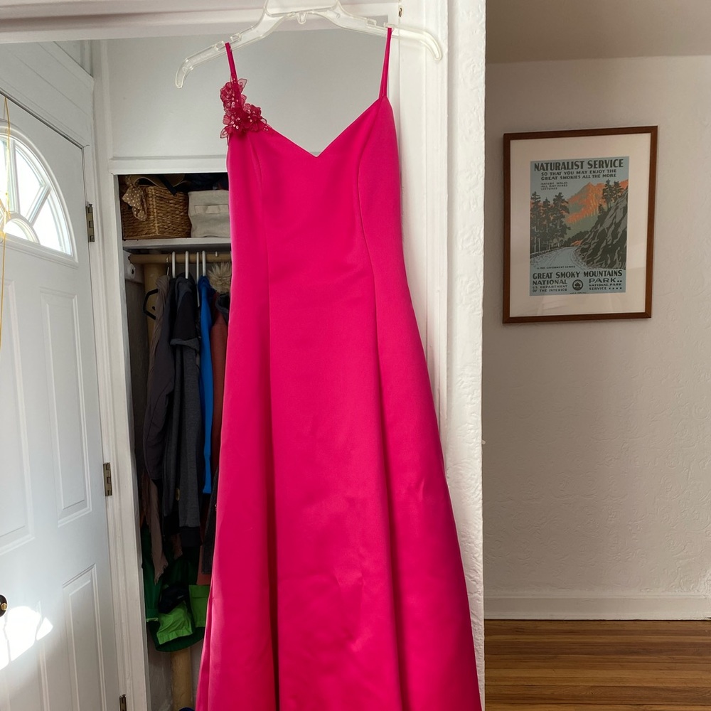 Scott McClintock (bought at Jessica McClintock) Pink Dress